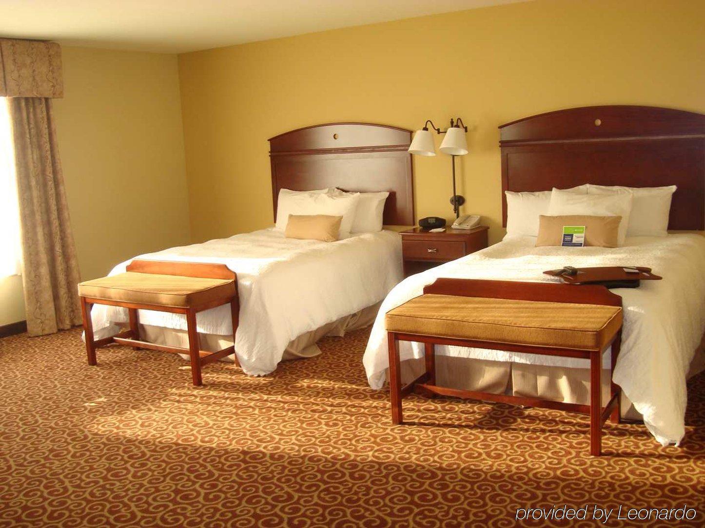 Hampton Inn & Suites Rochester-North Rum bild