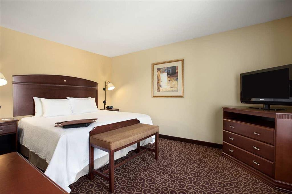 Hampton Inn & Suites Rochester-North Rum bild